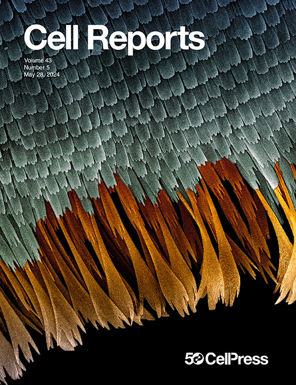 Antibodies targeting the shared cytokine resceptor IL-1 receptor accessory protein invoke distinct mechanism to block all cytokine signaling