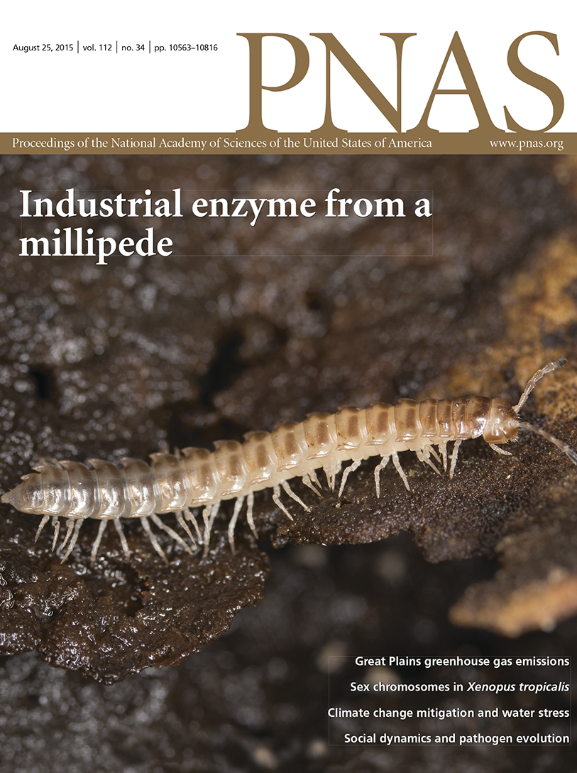 Antibodies targeting human IL1RAP (IL1R3) show therapeutic effects in xenograft models of acute myeloid leukemia
