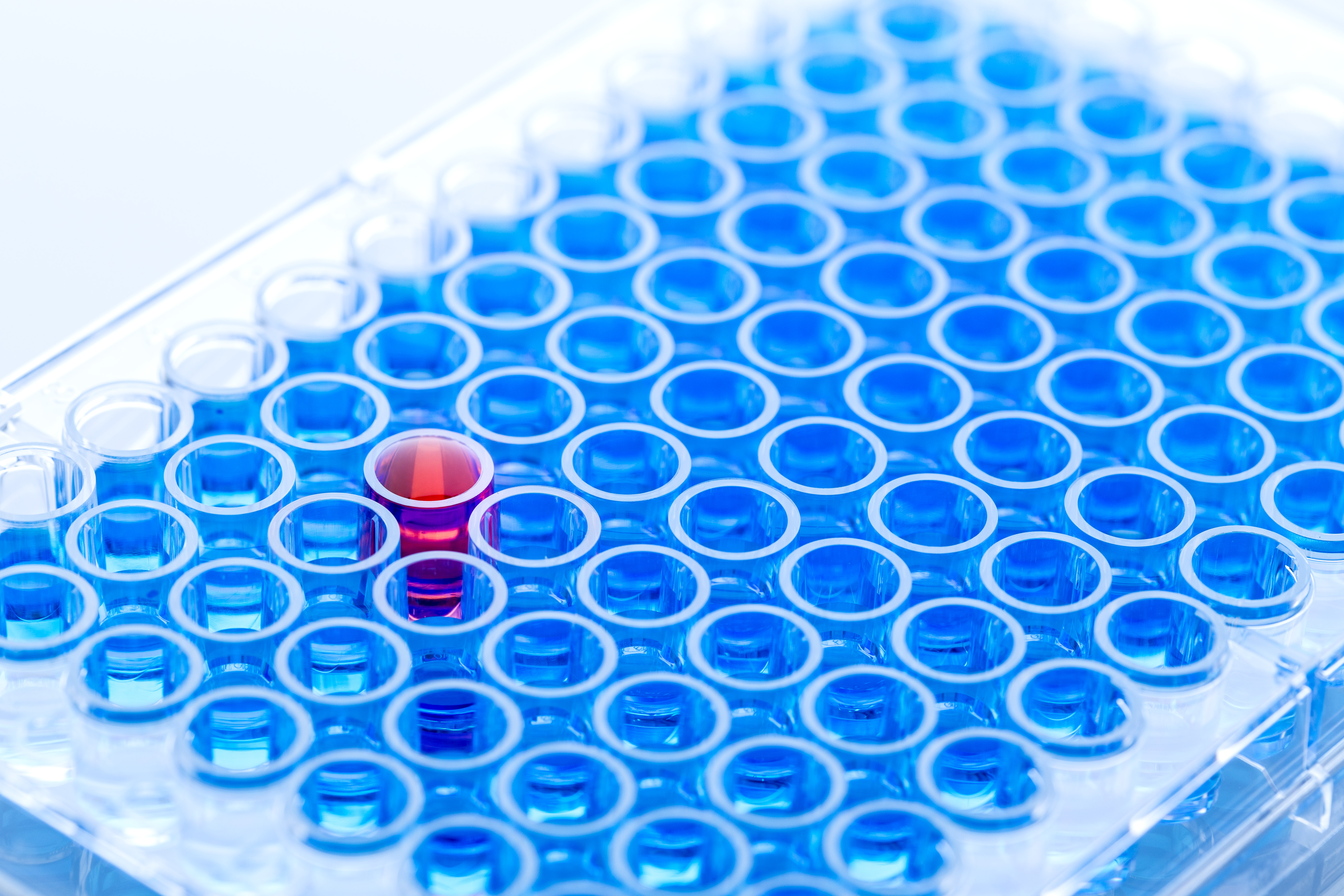 Antibody Characterization