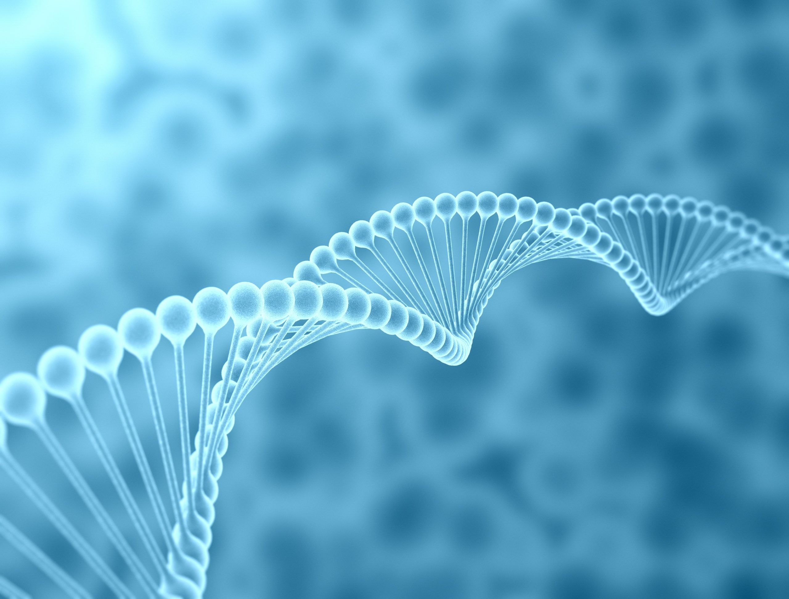 Antibody Engineering